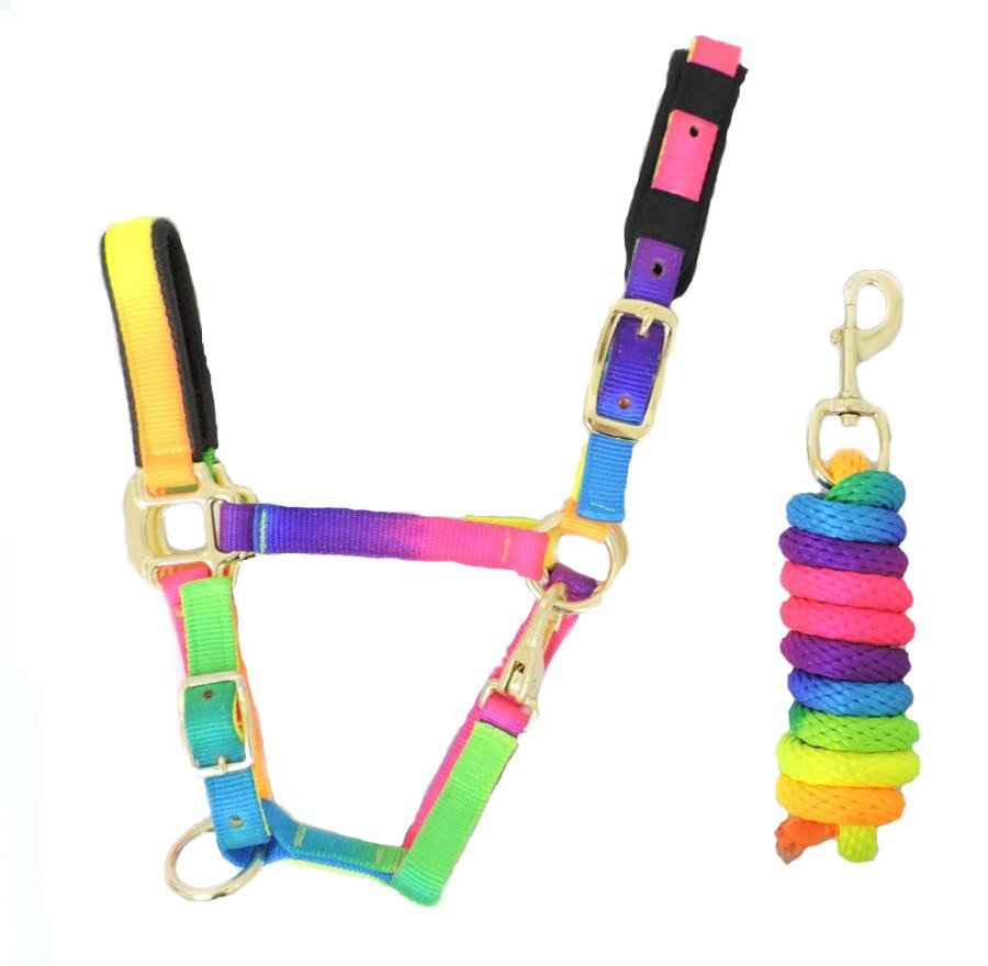 KM Elite Padded Headcollar Rainbow Set