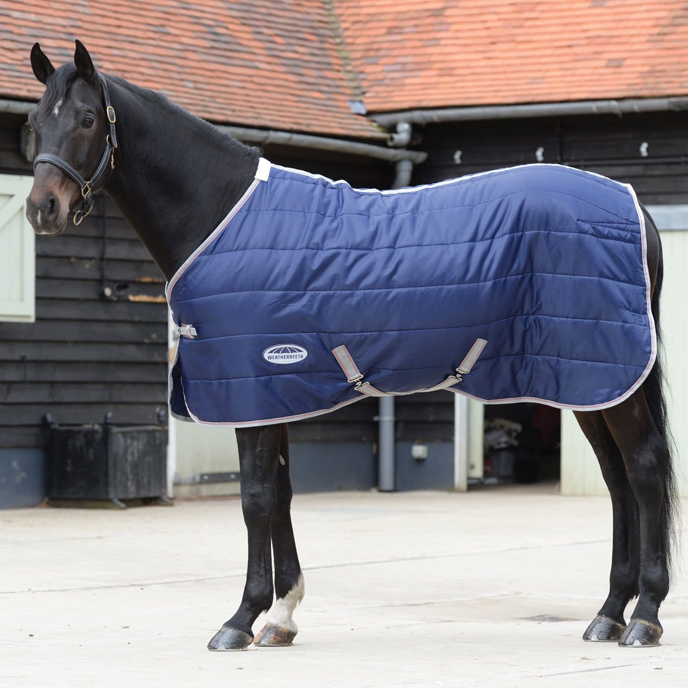 Weatherbeeta Comfitec 210D Channel Quilt Standard Neck Medium Lite