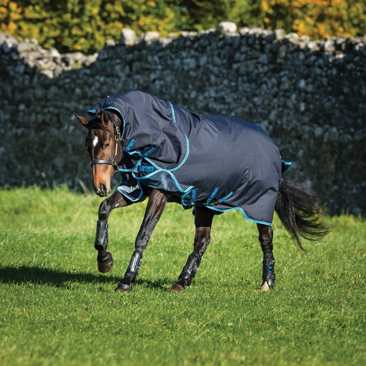 Horseware Ireland Amigo Bravo 12 Plus (Disc Front Closure) Bundle