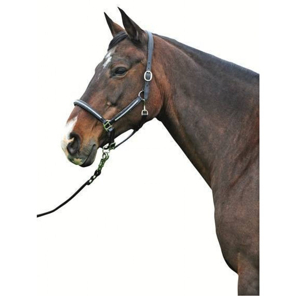 HKM Leather Head Collar -Diamond-