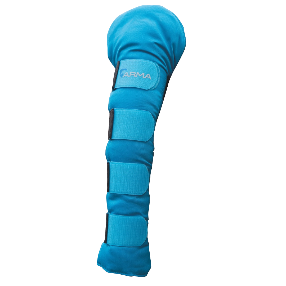 Shires ARMA Padded Tail Guard