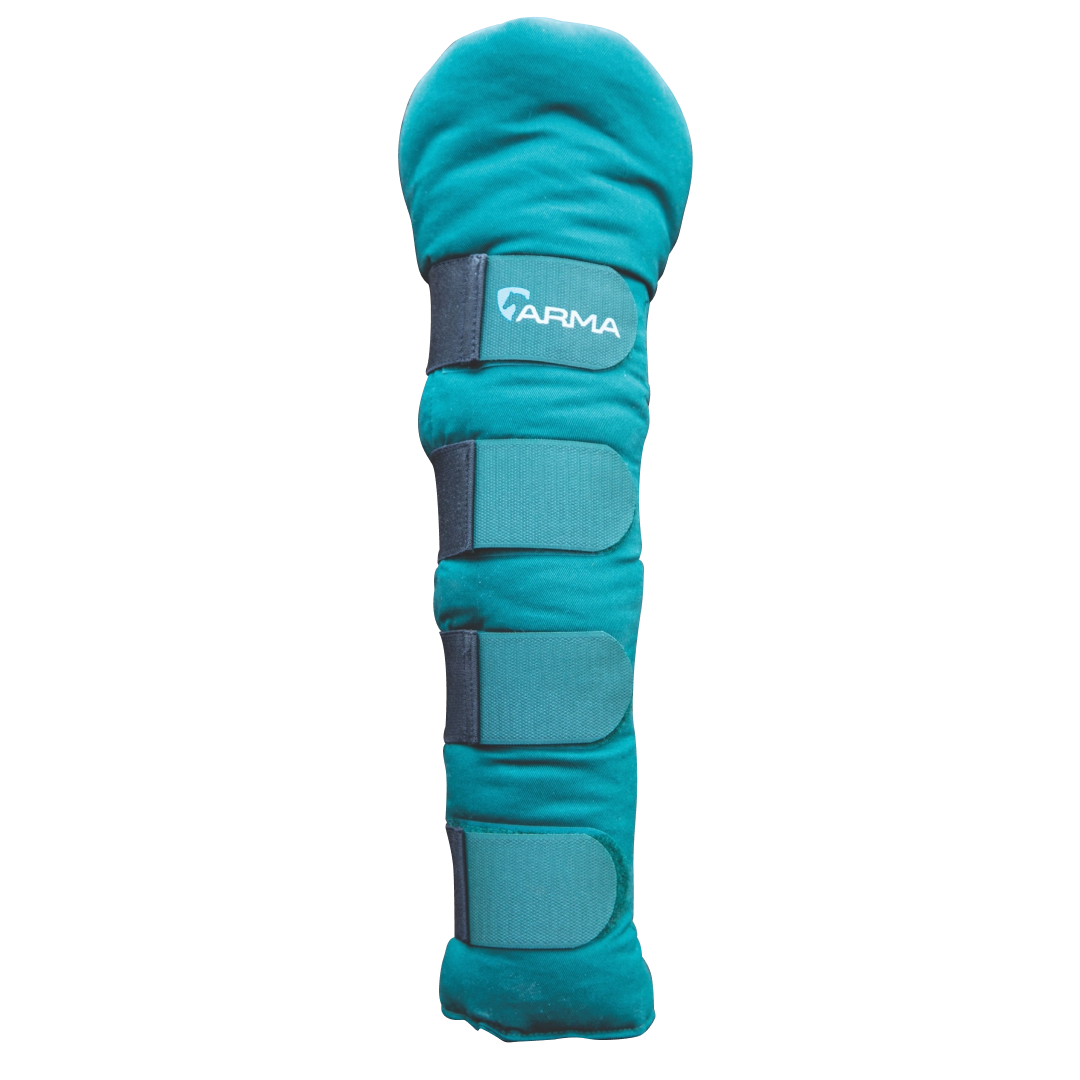 Shires ARMA Padded Tail Guard