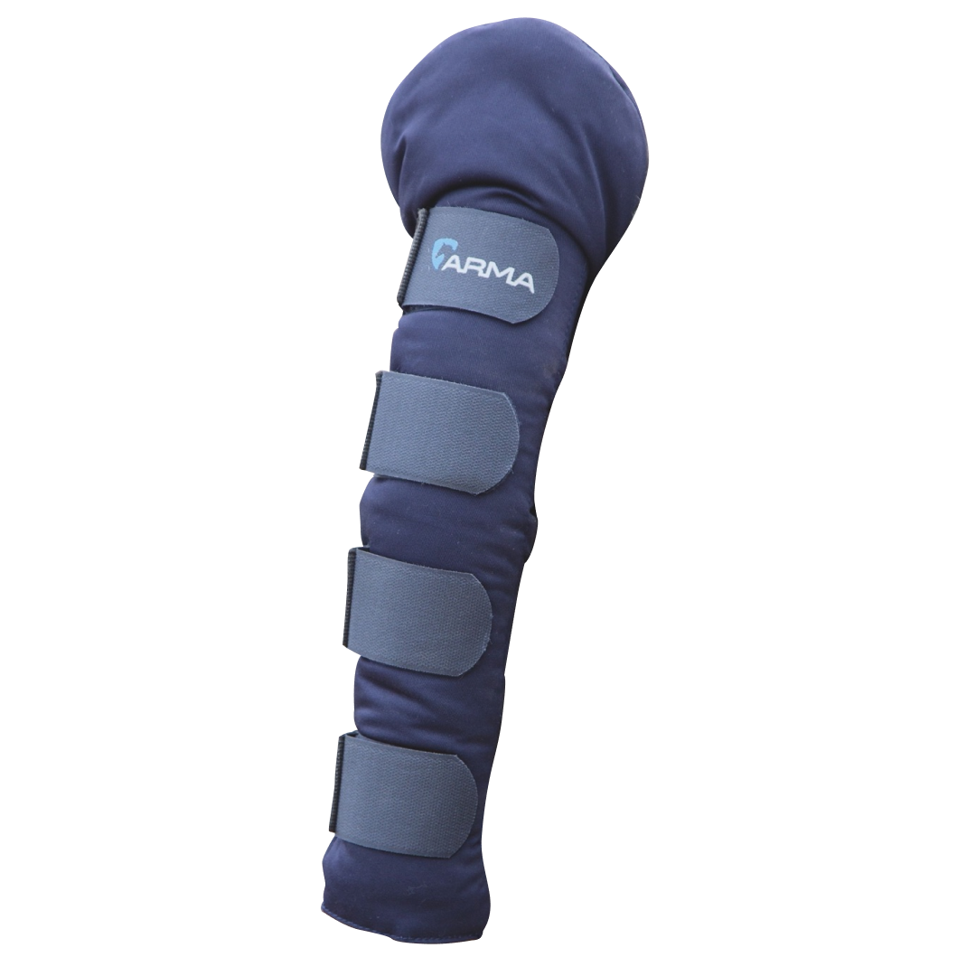 Shires ARMA Padded Tail Guard