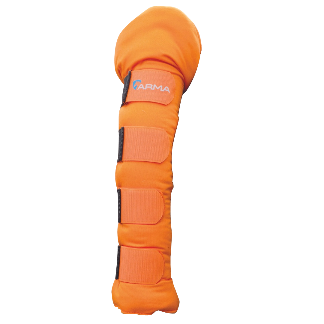 Shires ARMA Padded Tail Guard
