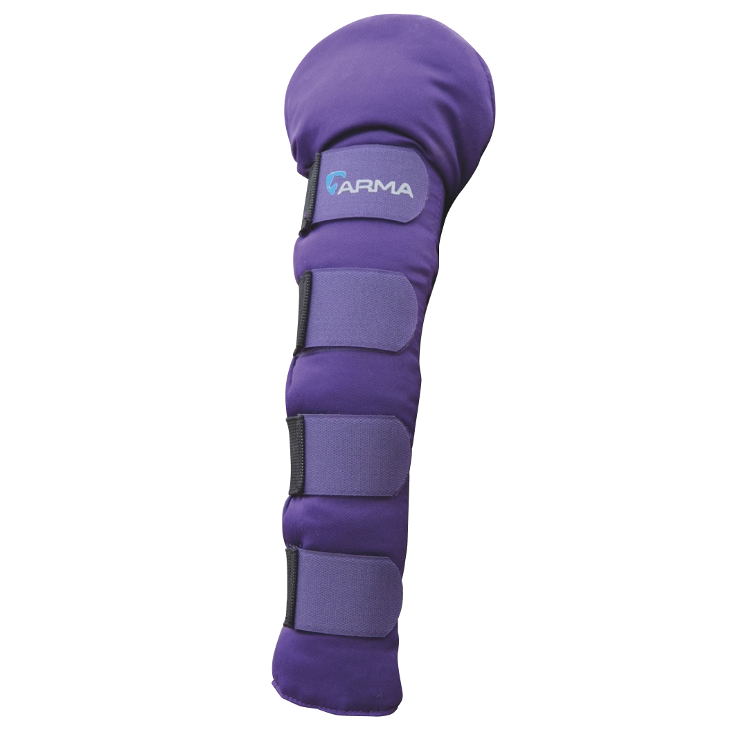 Shires ARMA Padded Tail Guard