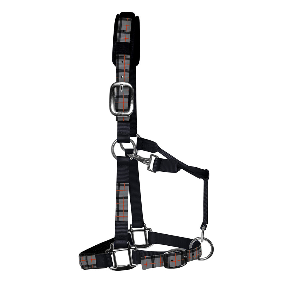 Argentinian Style Headcollar