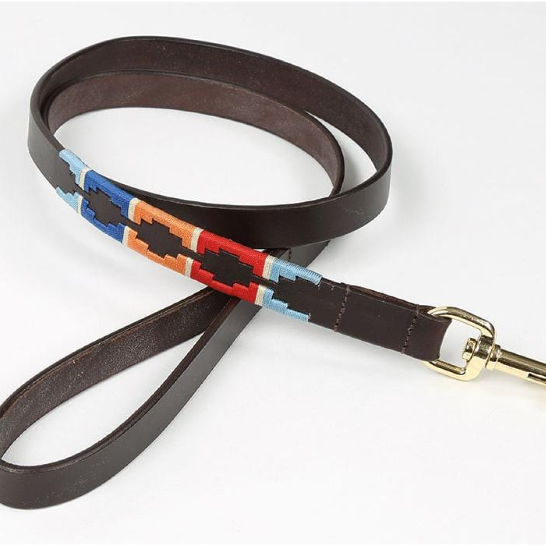 Shires Digby & Fox Drover Polo Dog Lead
