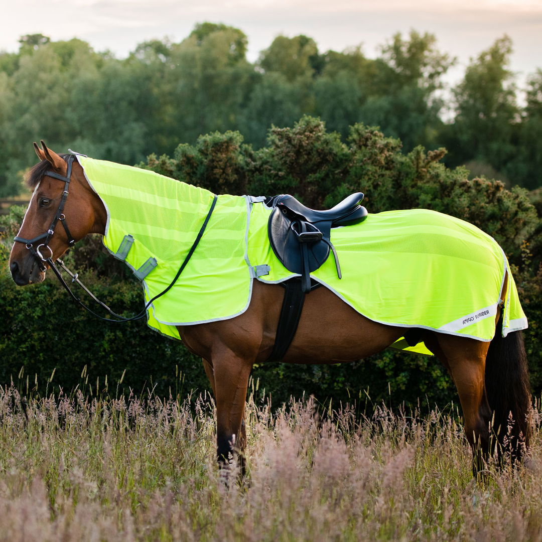 Horseware Ireland Amigo Flyrider