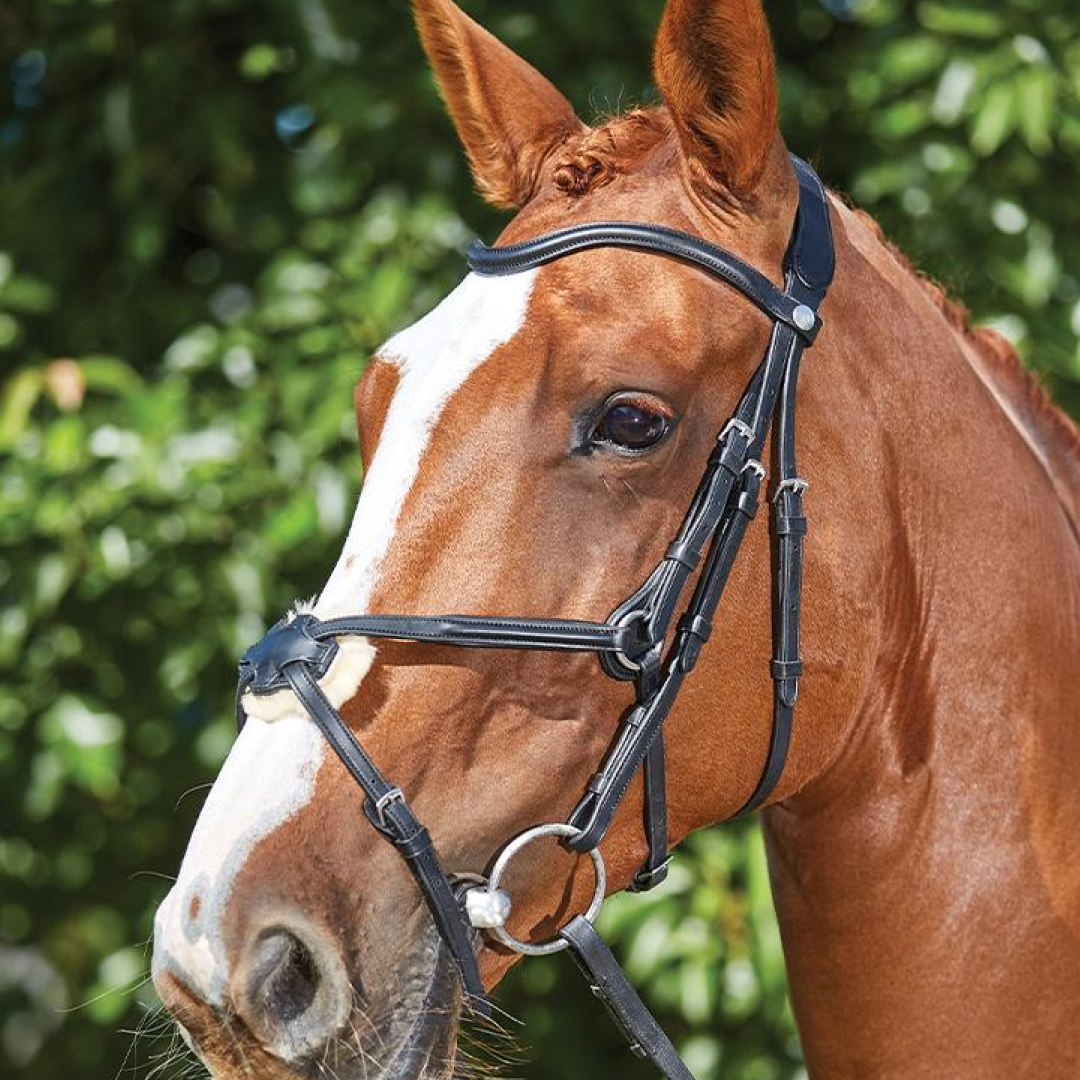 Collegiate ComfiTec Grackle Bridle