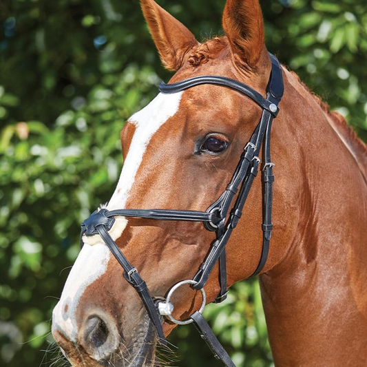 Collegiate ComfiTec Grackle Bridle