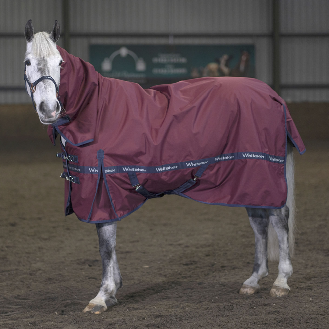 Whitaker Brockfield Fixed Neck Turnout Rug 100g