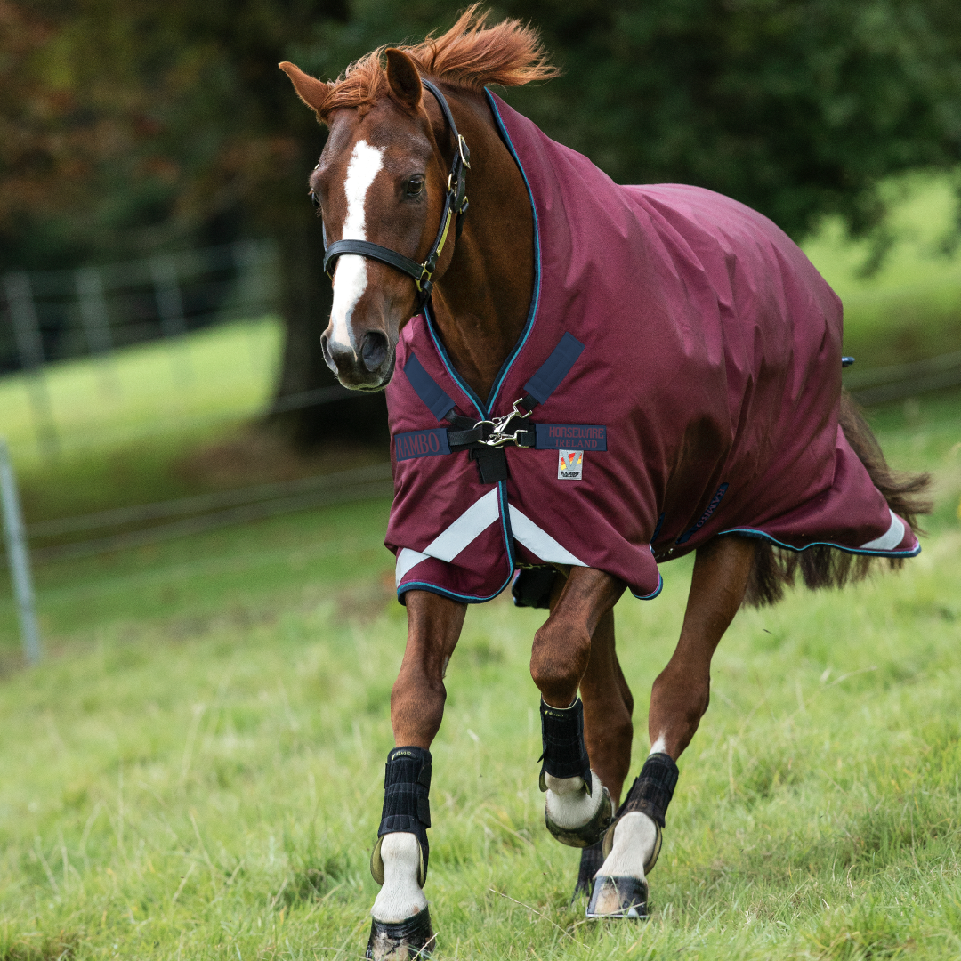 Horseware Ireland Rambo Wug Turnout 200g