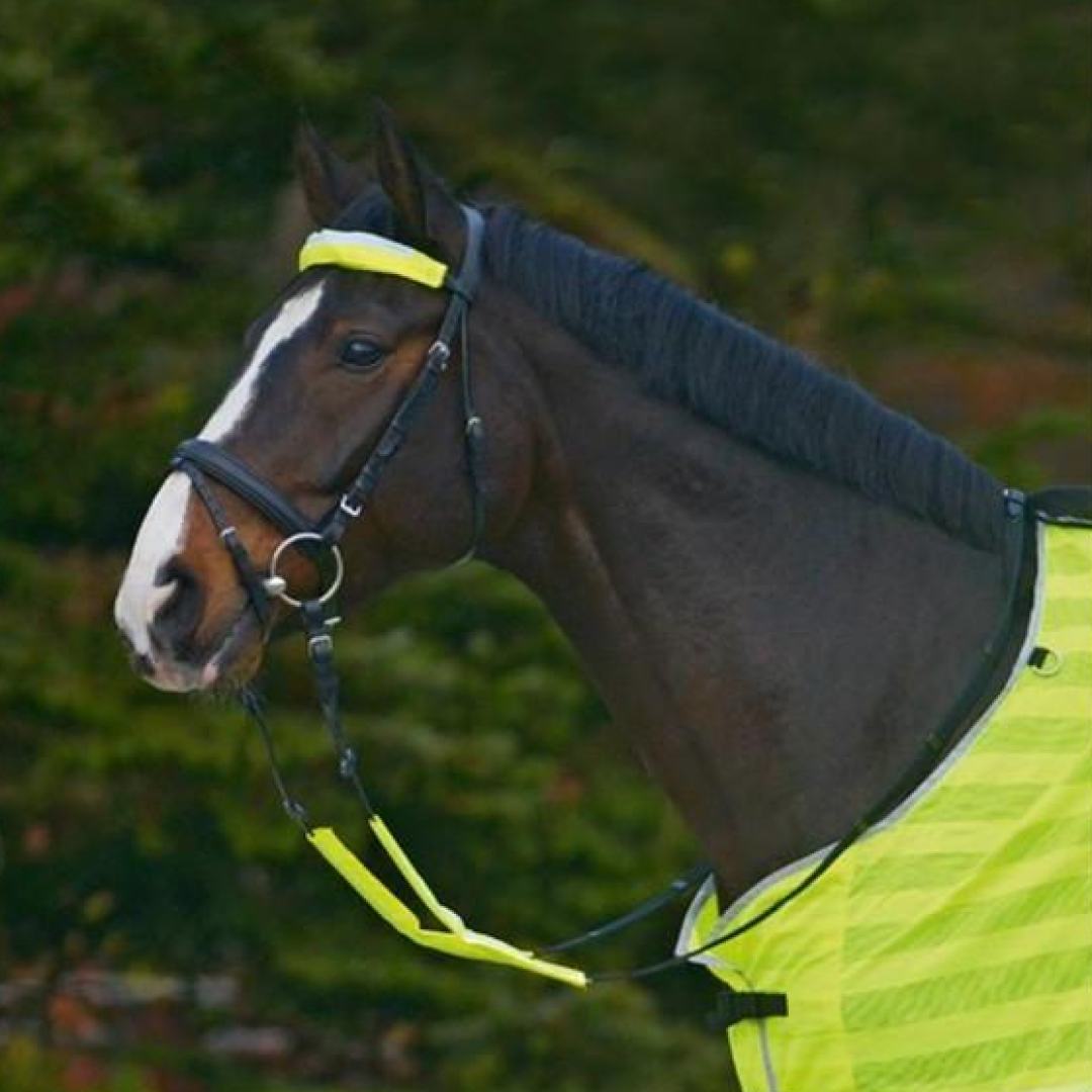 Waldhausen Reflex Bridle Set