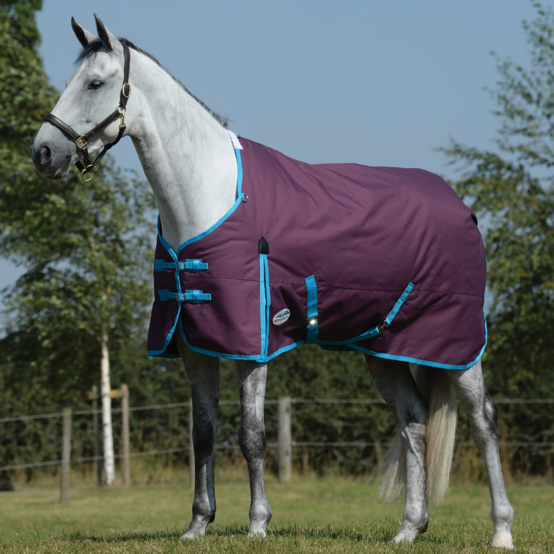 Weatherbeeta ComFiTec Essential Standard Neck Medium Turnout
