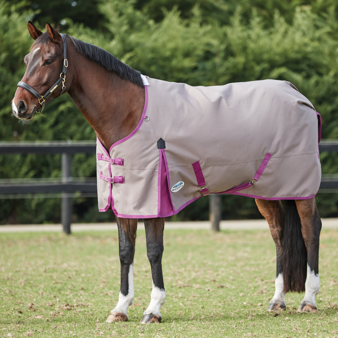 Weatherbeeta ComFiTec Essential Standard Neck Lite Plus Rug