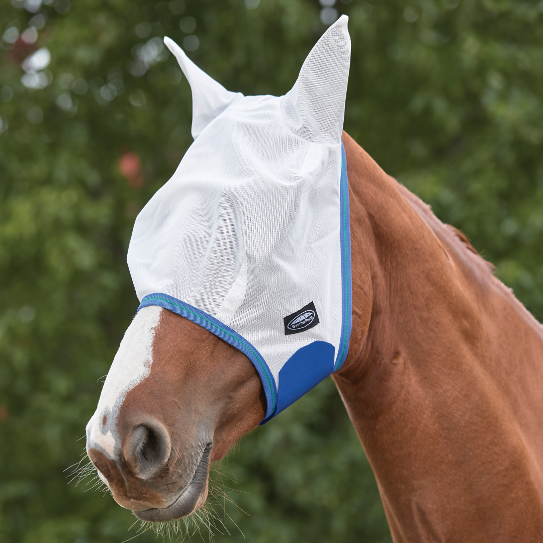 WeatherBeeta Comfitec Essential Mesh Fly Mask