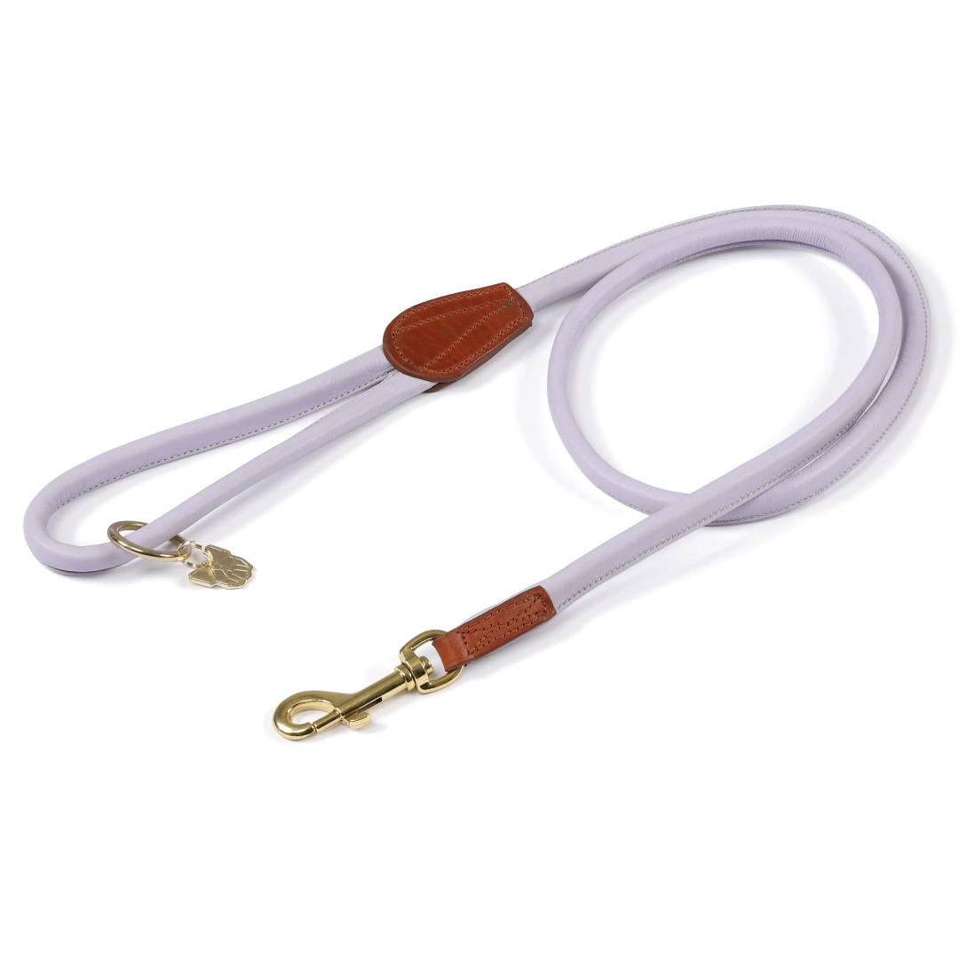 Shires Digby & Fox Rolled Leather Dog Lead