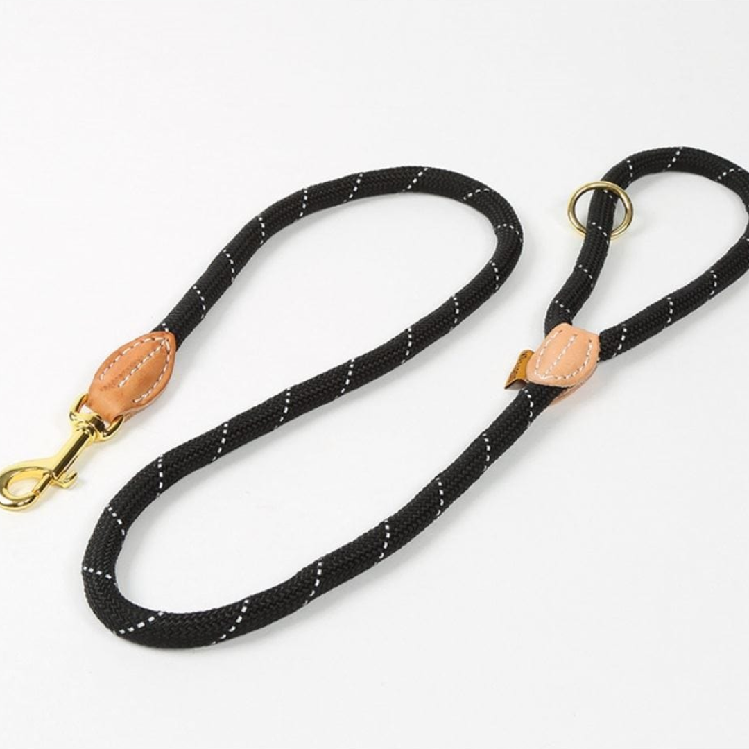 Shires Digby & Fox Reflective Dog Lead