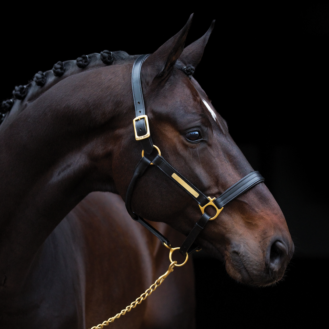 Horseware Ireland Amigo Padded Headcollar