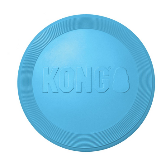 KONG Puppy Flyer Assorted Pink & Blue