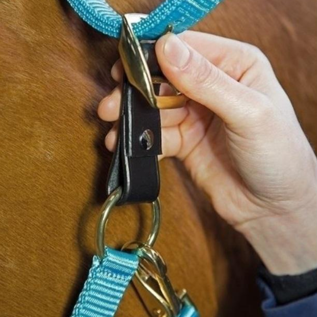 Shires Aviemore Headcollar Breakaway Attachment