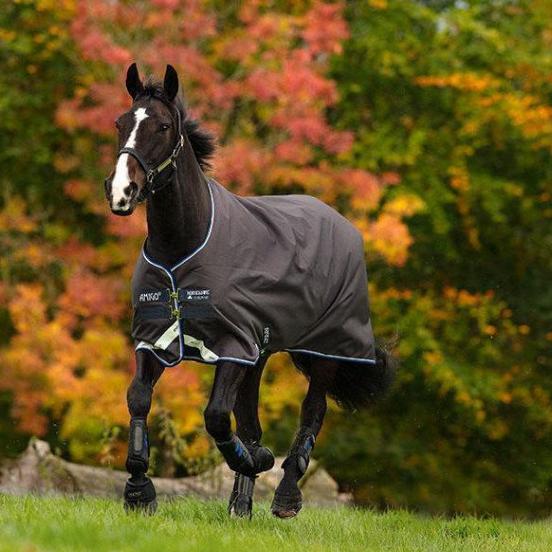 Horseware Ireland Amigo Pony Bravo 12 Original Lite Turnout 0g