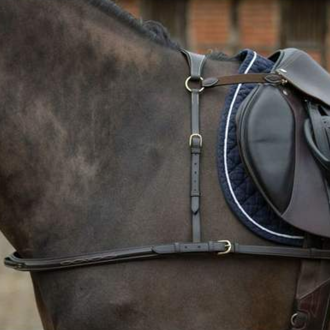 Mark Todd 4 Point Breastplate