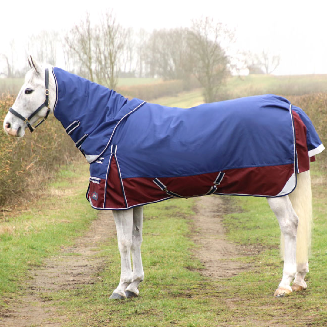 DefenceX System 400g Turnout Rug 2 in 1