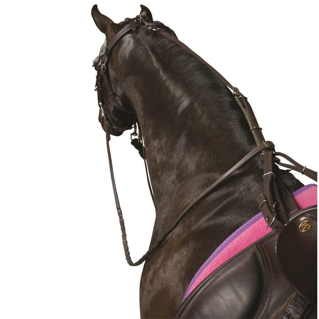 Kincade Poly Anti-Grazing Strap