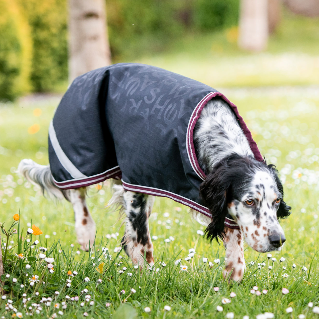 Horseware Ireland Amigo Dog Rug Ripstop