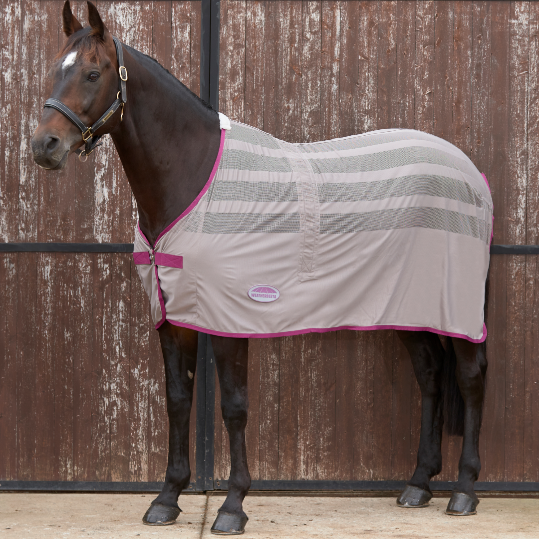 Weatherbeeta Scrim Cooler Standard Neck