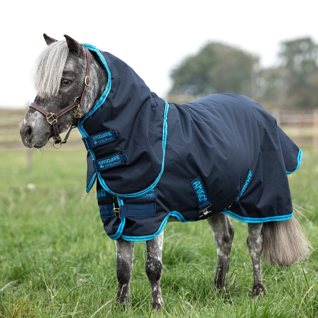 Horseware Ireland Amigo Hero 6 Petite Plus Medium