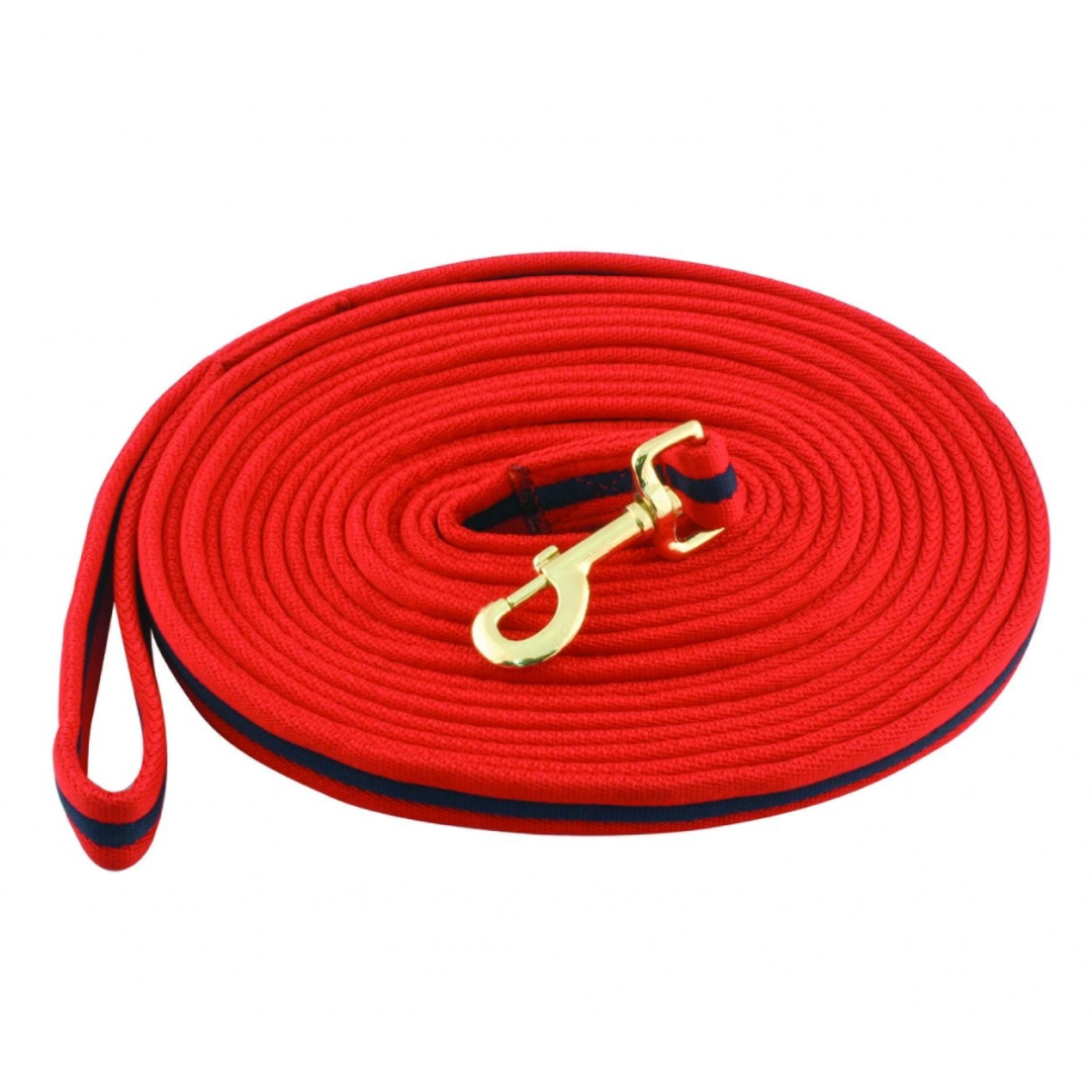 Kincade Two Tone Padded Lunging Rein
