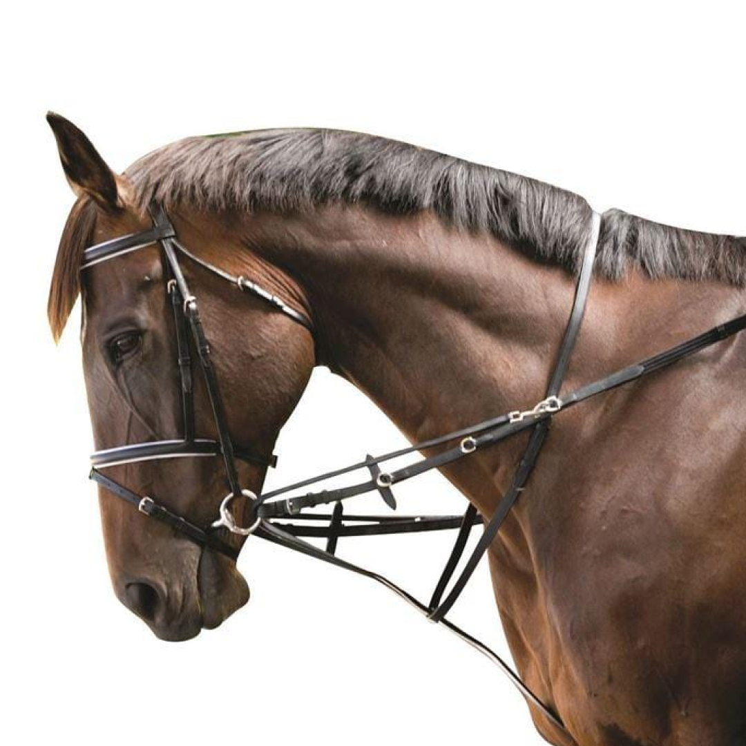 Kincade Web Market Harborough/German Martingale