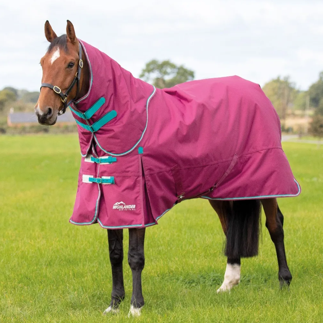 Shires Highlander Original 300g Turnout Rug & Neck