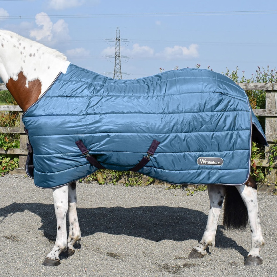 Whitaker Lupin Stable Rug 200g