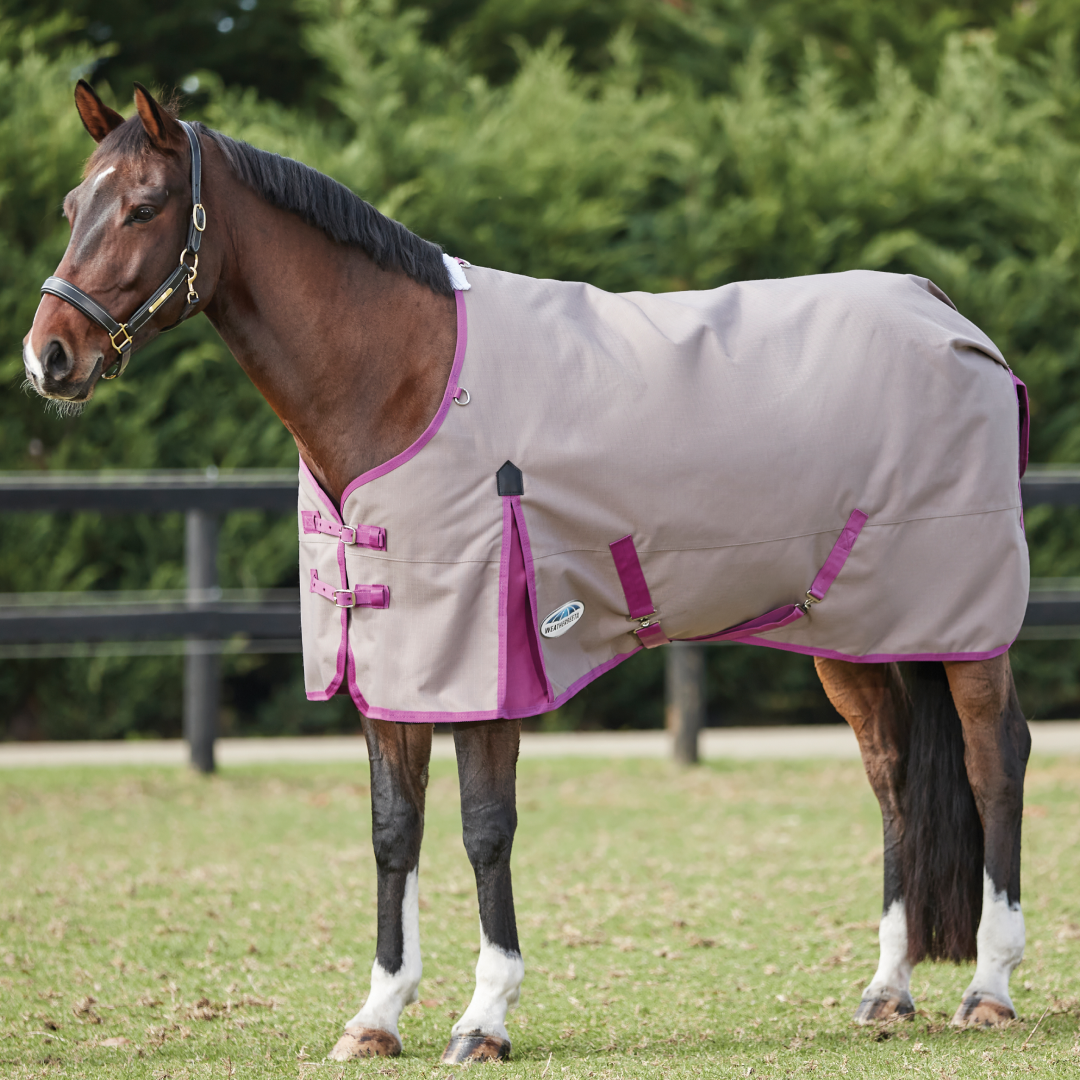 Weatherbeeta Comfitec Essential Standard Neck Lite Rug