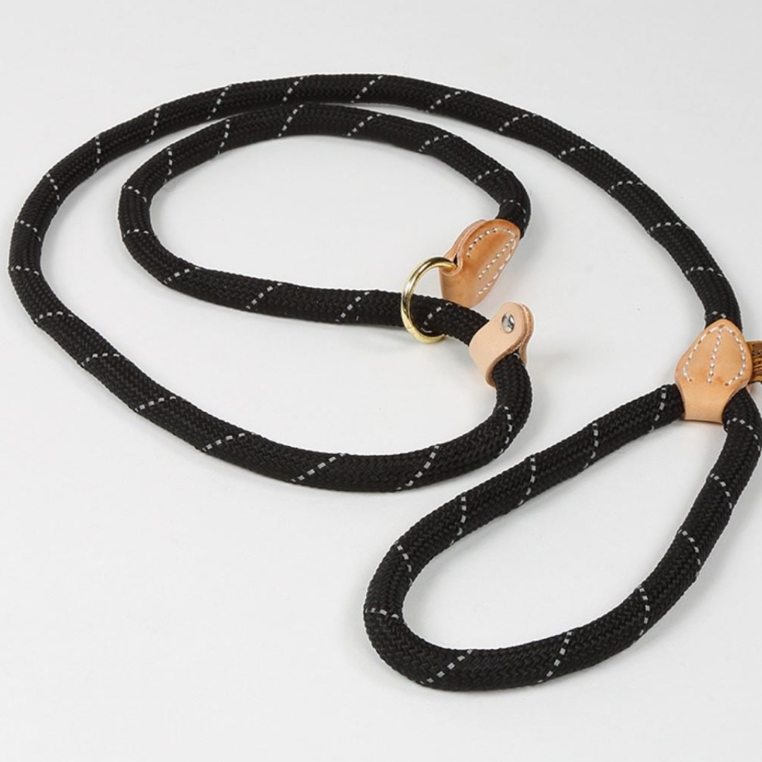 Shires Digby & Fox Reflective Slip Dog Lead
