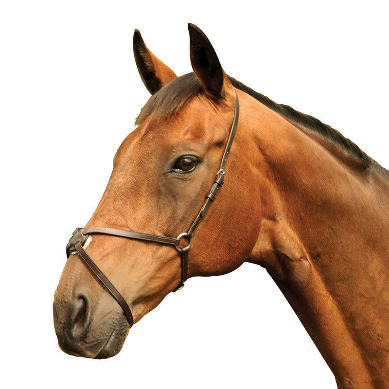 Mackey Classic Mexican Grackle Noseband