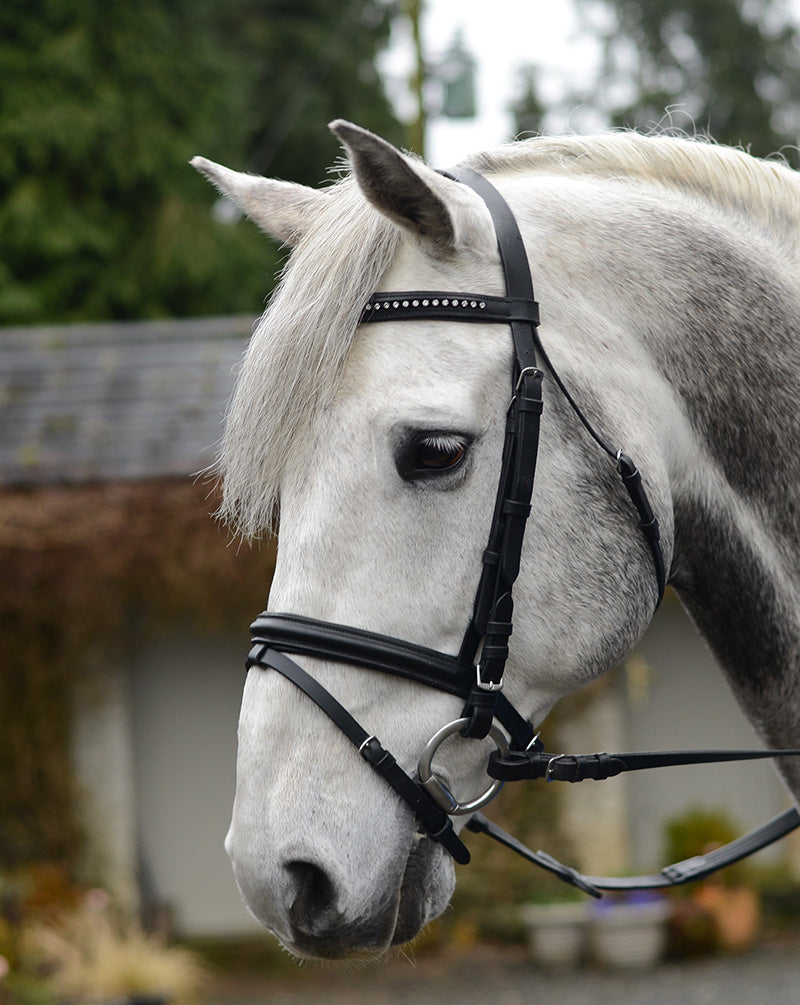 Mackey Equisential Bling Bridle