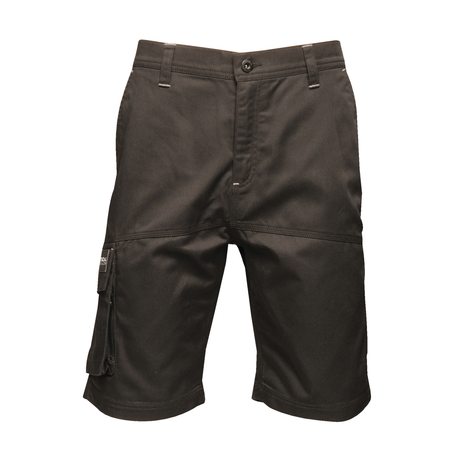 Regatta Professional Heroic Cargo Shorts