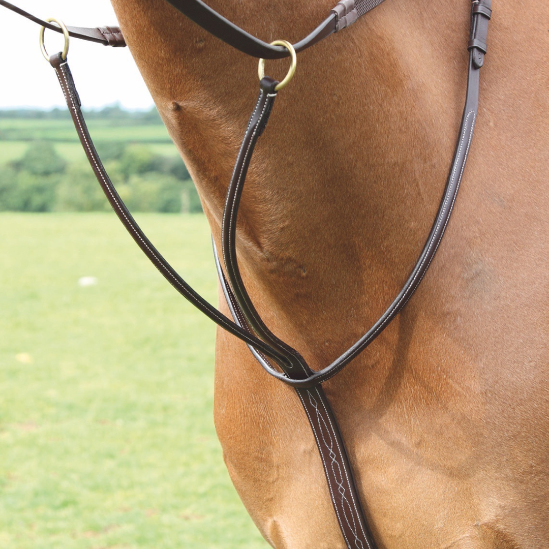 SHIRES Salisbury Running Martingale