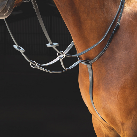 SHIRES Salisbury Running Martingale