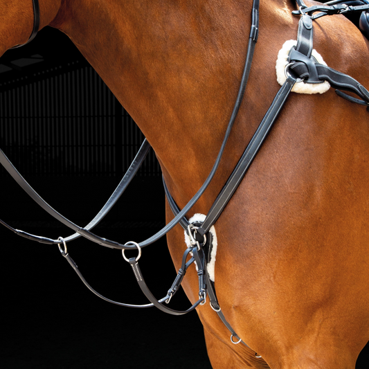 SHIRES SALISBURY 5 POINTA PARTILLA