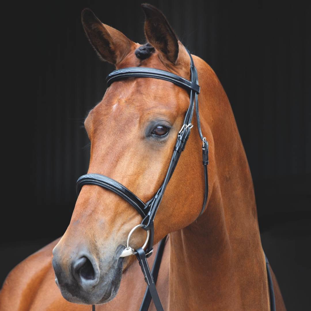 SHIRES Salisbury Fairford Cavesson Bridle