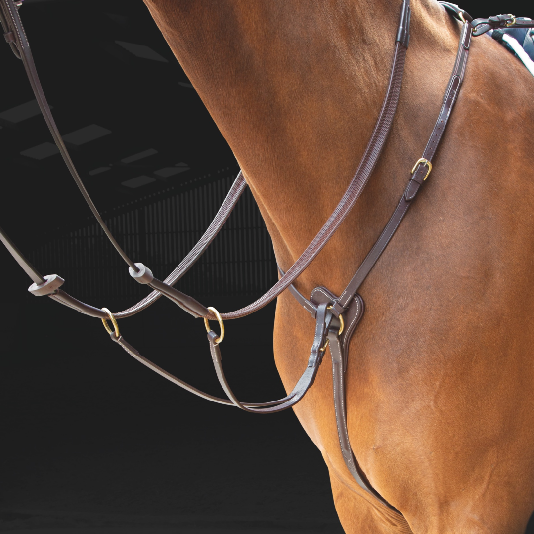 SHIRES SALISBURY 3 puntos Brewplate