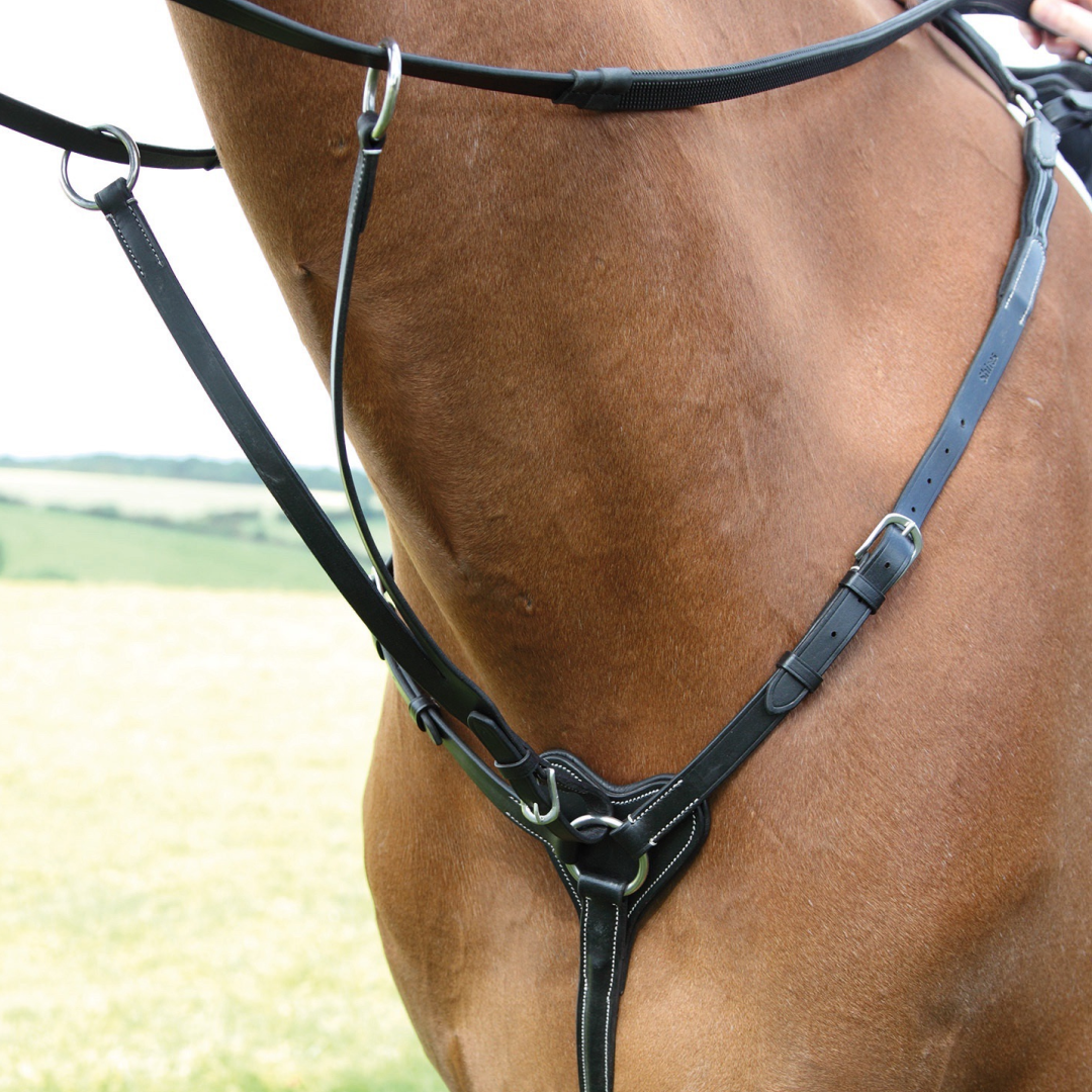 SHIRES SALISBURY 3 puntos Brewplate