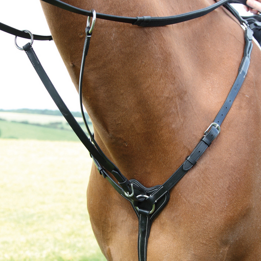 SHIRES SALISBURY 3 puntos Brewplate