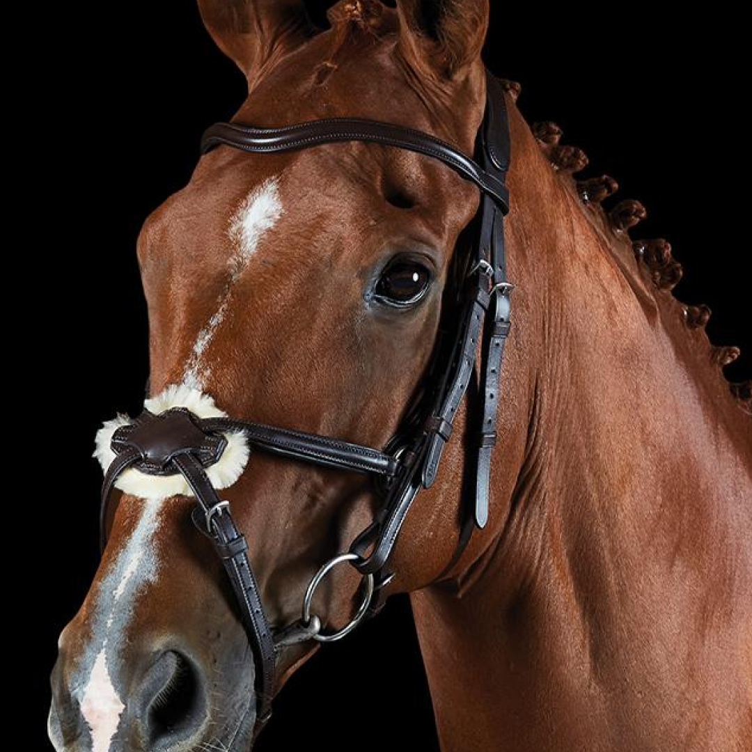 Collegiate ComfiTec Grackle Bridle
