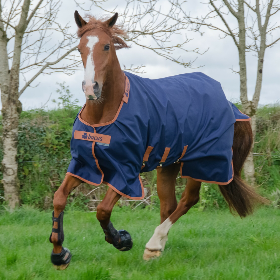Bucas X-Range Light Turnout Rug